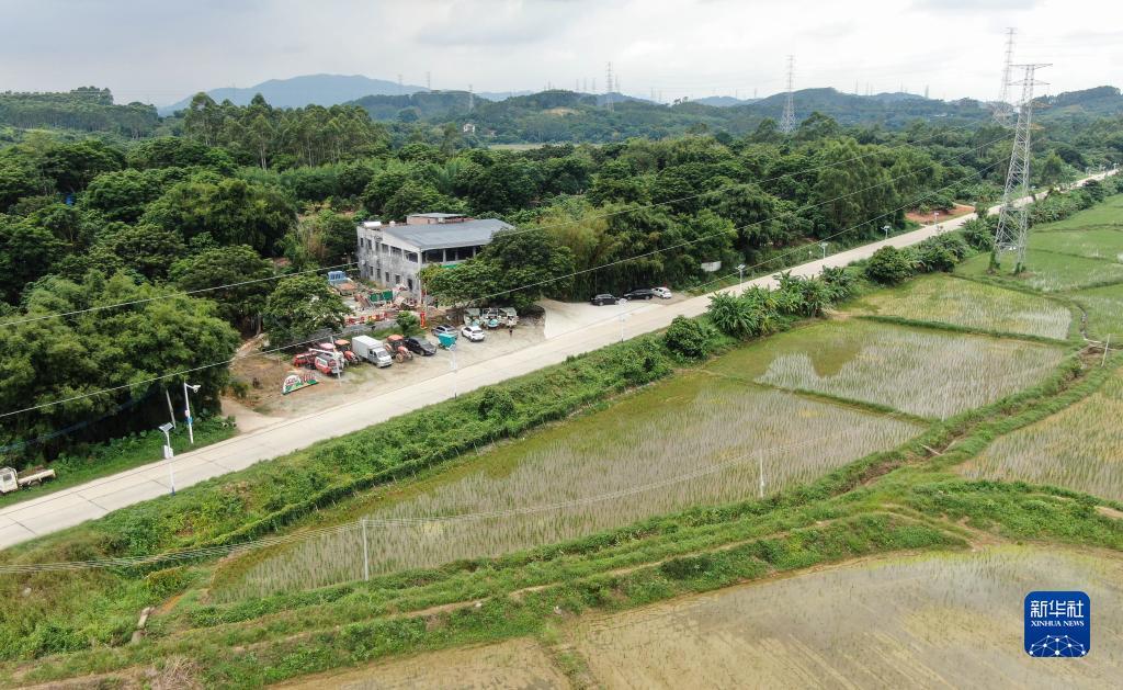 夺宝的平台